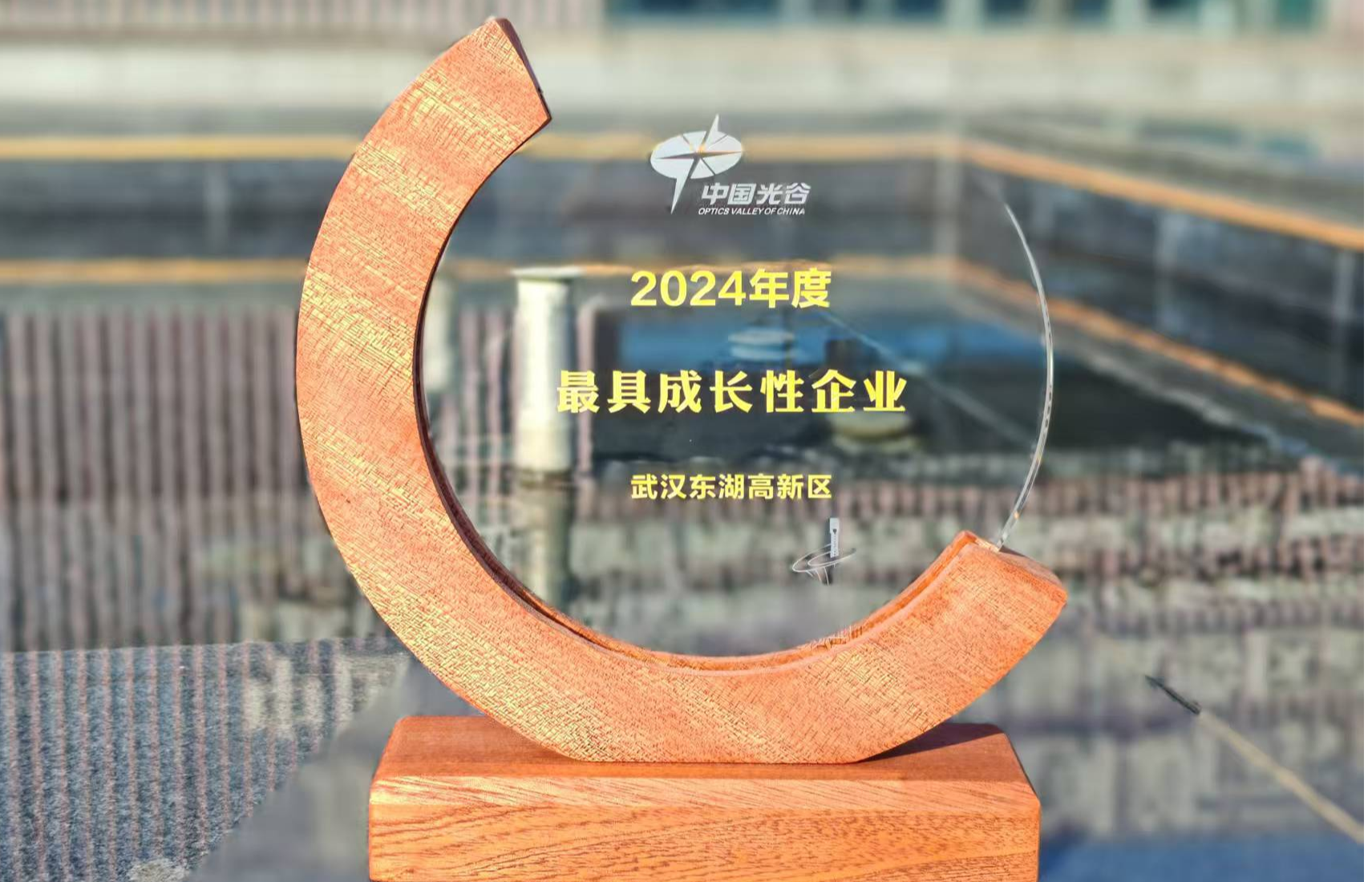 20250208guanggu2024zuijuchengchangxingqiye-567.png